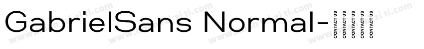 GabrielSans Normal字体转换